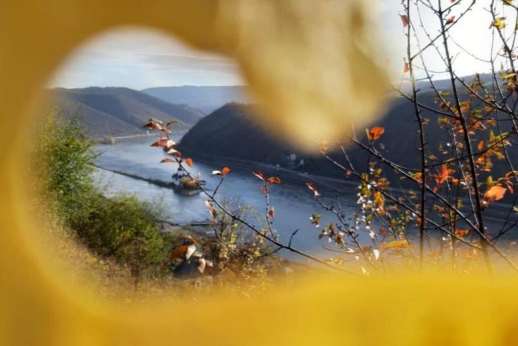 Ferienhaus Am Rheinsteig Kaub Luaran gambar
